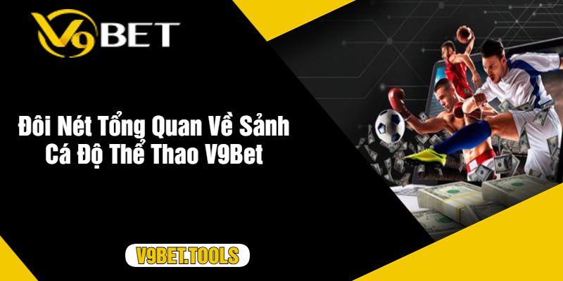 Đôi Nét Tổng Quan Về Sảnh Cá Độ Thể Thao V9Bet