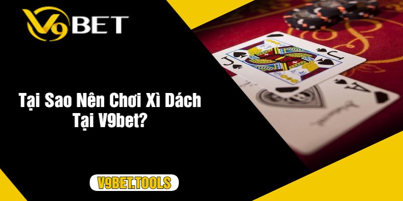 Tại Sao Nên Chơi Xì Dách Tại V9bet